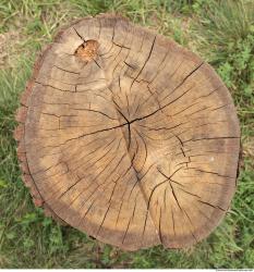 Photo Textures of Wood